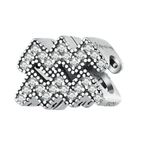 Blyszczacy-charms-Srebro-925-Znak-zodiaku-wodnik.jpeg